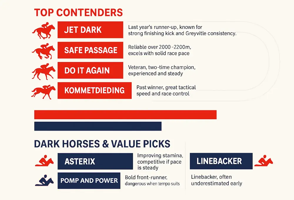 Vodacom Durban July Top Horses and Dark Horses Infographic